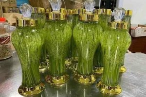 Rượu Đòng Đòng